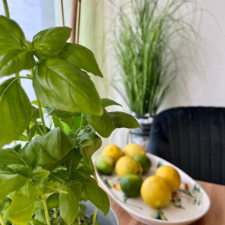 Luxurious City Apartment Incl Garage And Terrace 维也纳 外观 照片